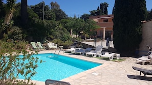 Una piscina con sillas de descanso, rodeada de vegetación y un edificio al fondo.