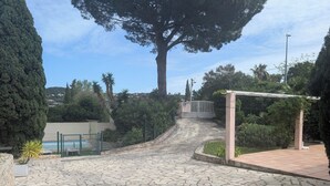 Een met stenen bestraat erf met een grote boom, een toegangspoort en een pergola.