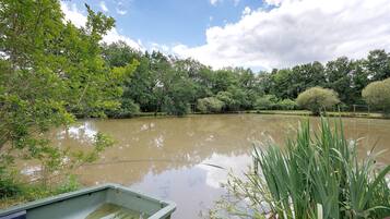 Diverse