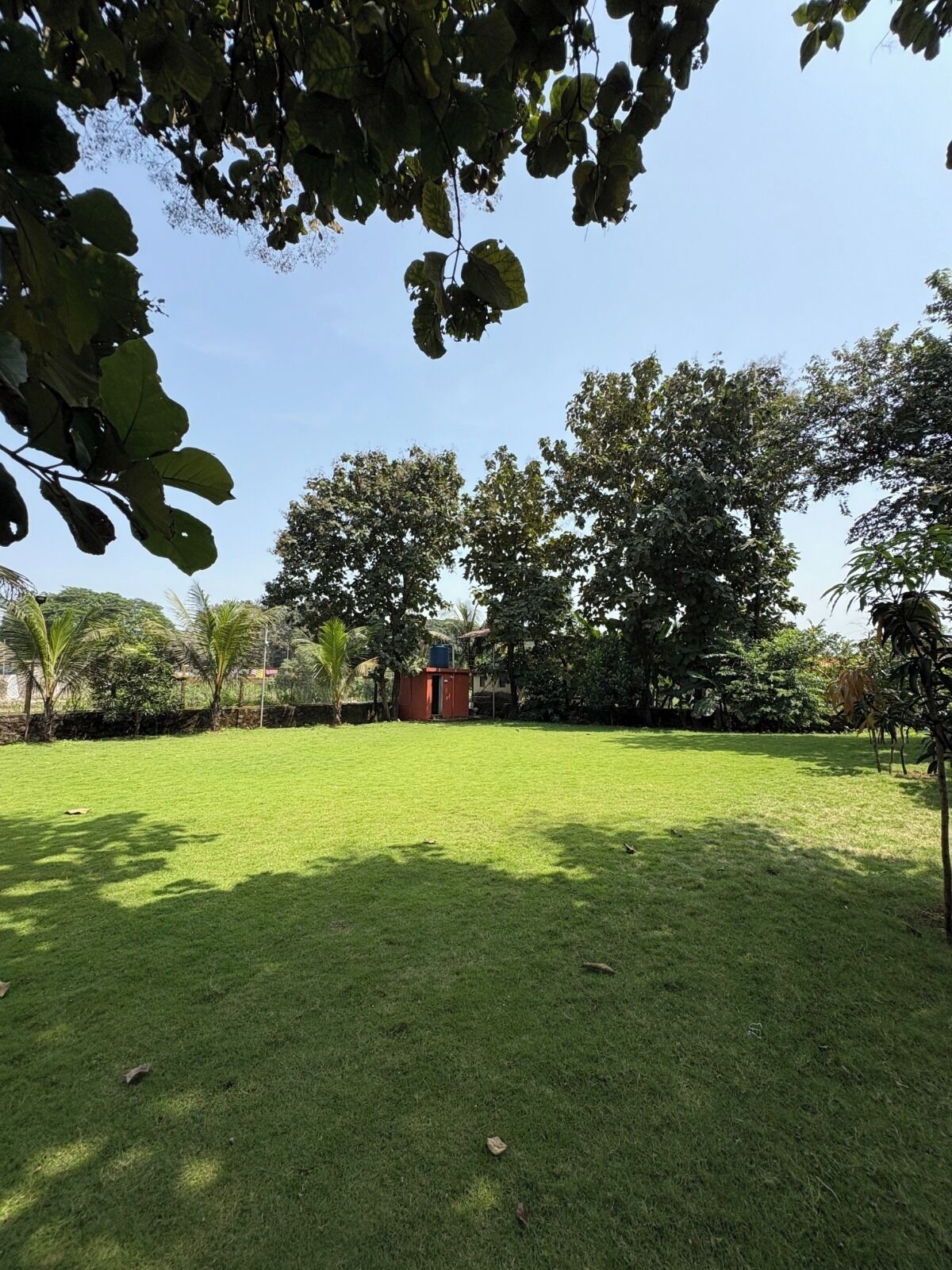 A well-maintained grassy yard with trees and a small red structure.