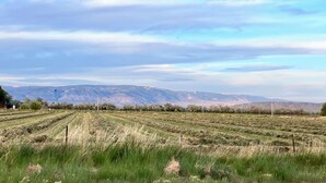 A rural landscape with fields, a distant mountain range, and a clear sky.
