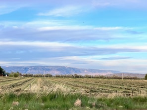 Een landelijk landschap met velden, een verafgelegen bergketen en een heldere lucht.