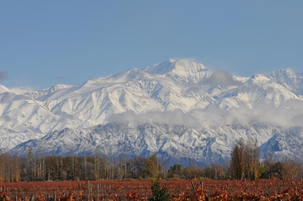Un paisaje montañoso con picos nevados y un campo de follaje rojo en primer plano.