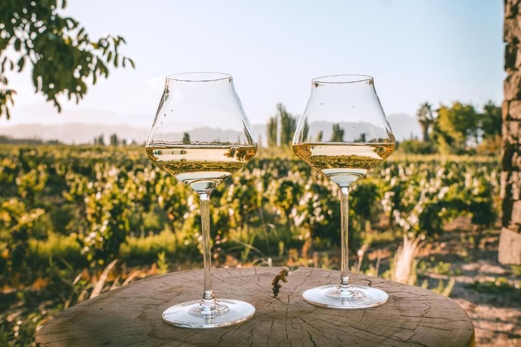 Deux verres à vin sur une table en bois, avec un vignoble en arrière-plan.
