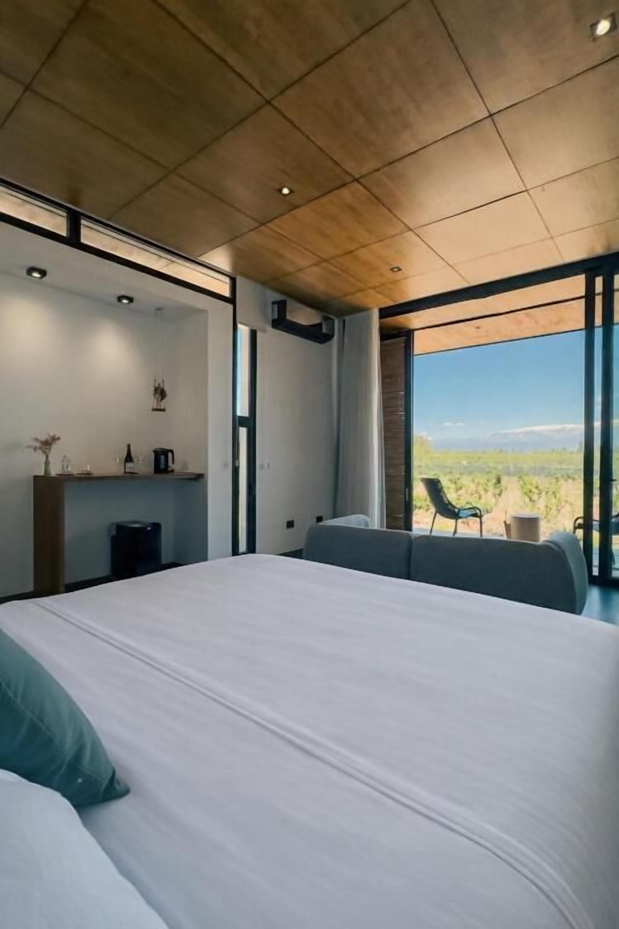 Deluxe Double or Twin Room, Vineyard View