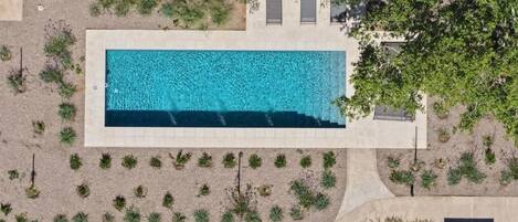 An aerial view of a rectangular swimming pool surrounded by landscaped areas with small plants and trees.