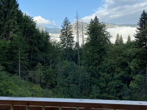 A forested landscape with a wooden deck in the foreground. - Modern apartment with parking - 8 guests (Arâches-la-Frasse)