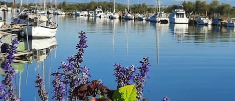 Marina