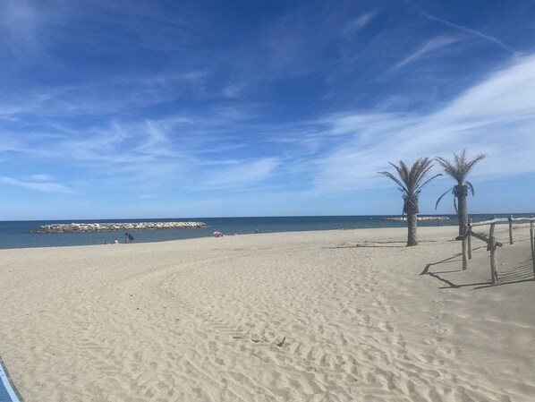 Une plage de sable bordée de palmiers, un ciel dégagé et, au loin, une digue rocheuse.
