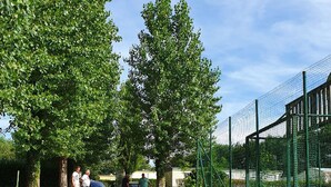 A gravel path leading to a fenced area with trees and a building. - Mobile home, pets welcome - 6 guests (Les Grandes-Ventes)