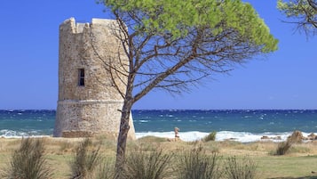 Site dâintĂ©rĂȘt