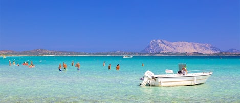 Playa en los alrededores
