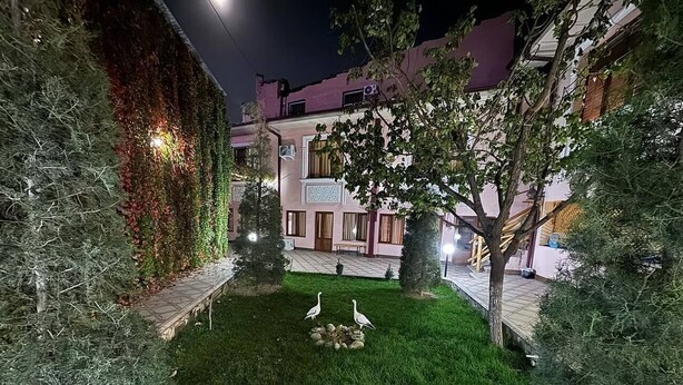 Ein Innenhof mit Rasenfläche, einem Baum und einem Gebäude mit Balkon.