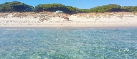 Playa