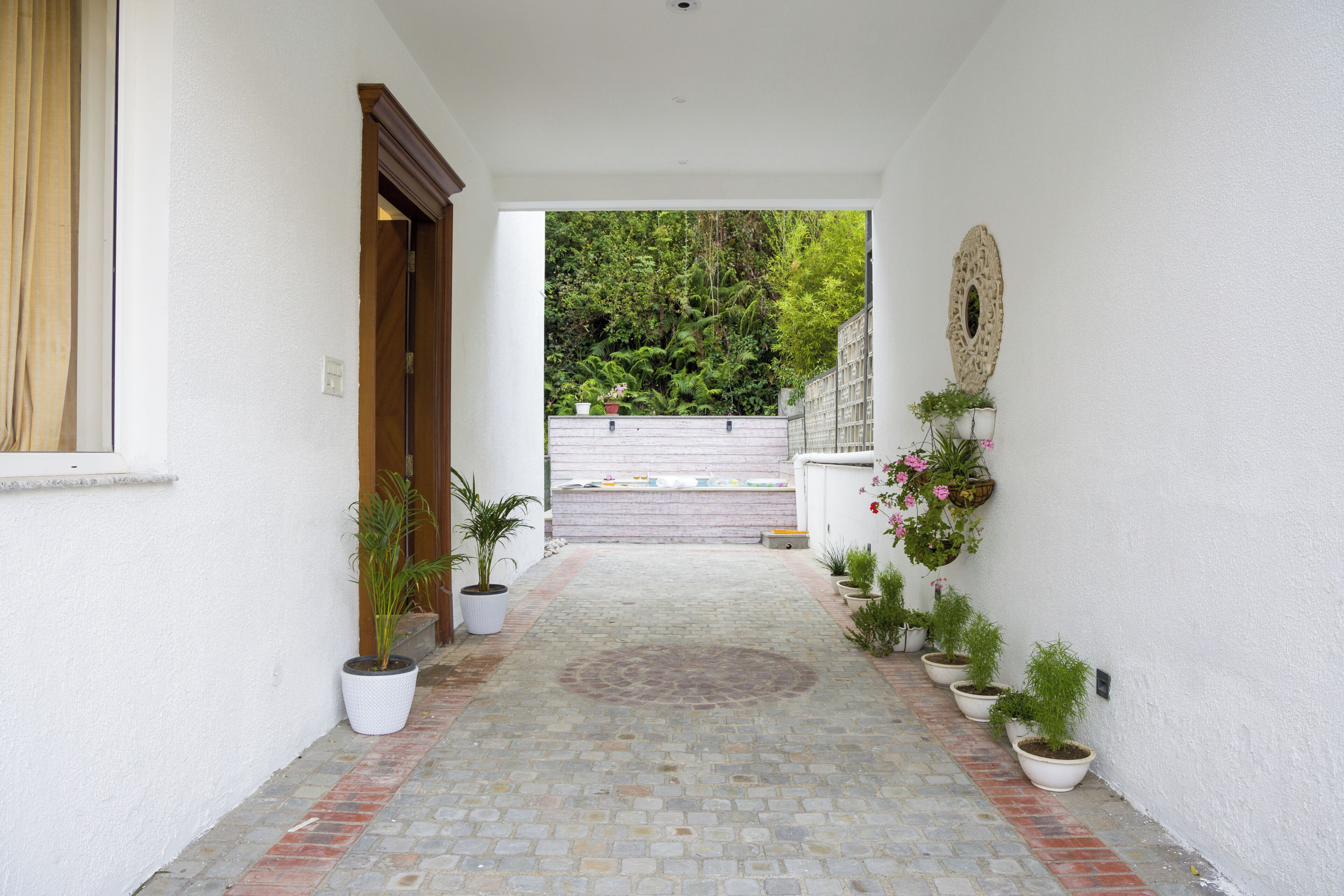 A narrow hallway with potted plants, a white wall, and a door leading to a garden.