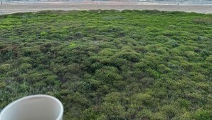 En strand med udsigt til havet og en solnedgang.