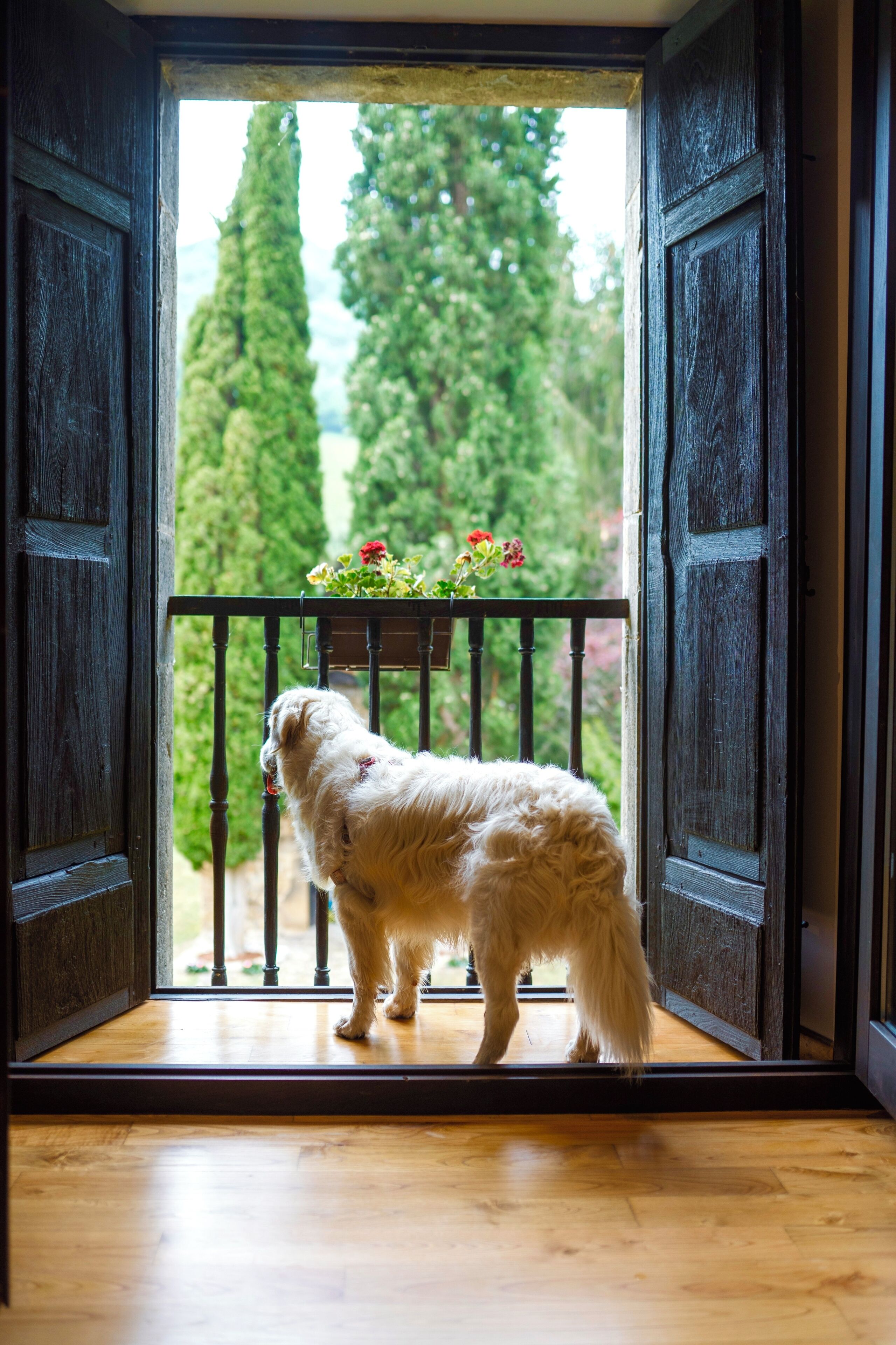 Deluxe tweepersoonskamer, balkon, uitzicht op tuin | Luxe beddengoed, een minibar, een kluis op de kamer, een bureau