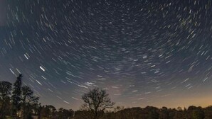 A star trail photograph with a clear night sky, a tree, and a distant treeline. - Craigengillan Mini Lodge (Dalmellington)