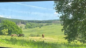 A window view of a green field with trees and a clear sky. - Craigengillan Mini Lodge (Dalmellington)