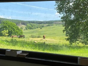 Interior - Craigengillan Mini Lodge (Dalmellington)