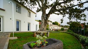 A stone planter with plants and flowers, a white building with a door and windows, and a tree in the background. - Casas do Pargo - Oak Tree House (Lombada Velha)