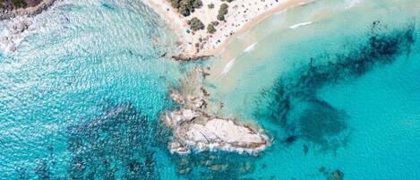 Playa