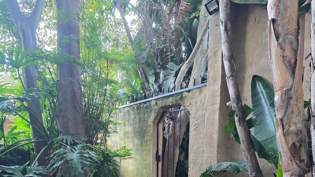Uma trilha de pedra leva a um portão cercado por vegetação exuberante e um edifício rústico.