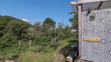 Cottage | Property grounds