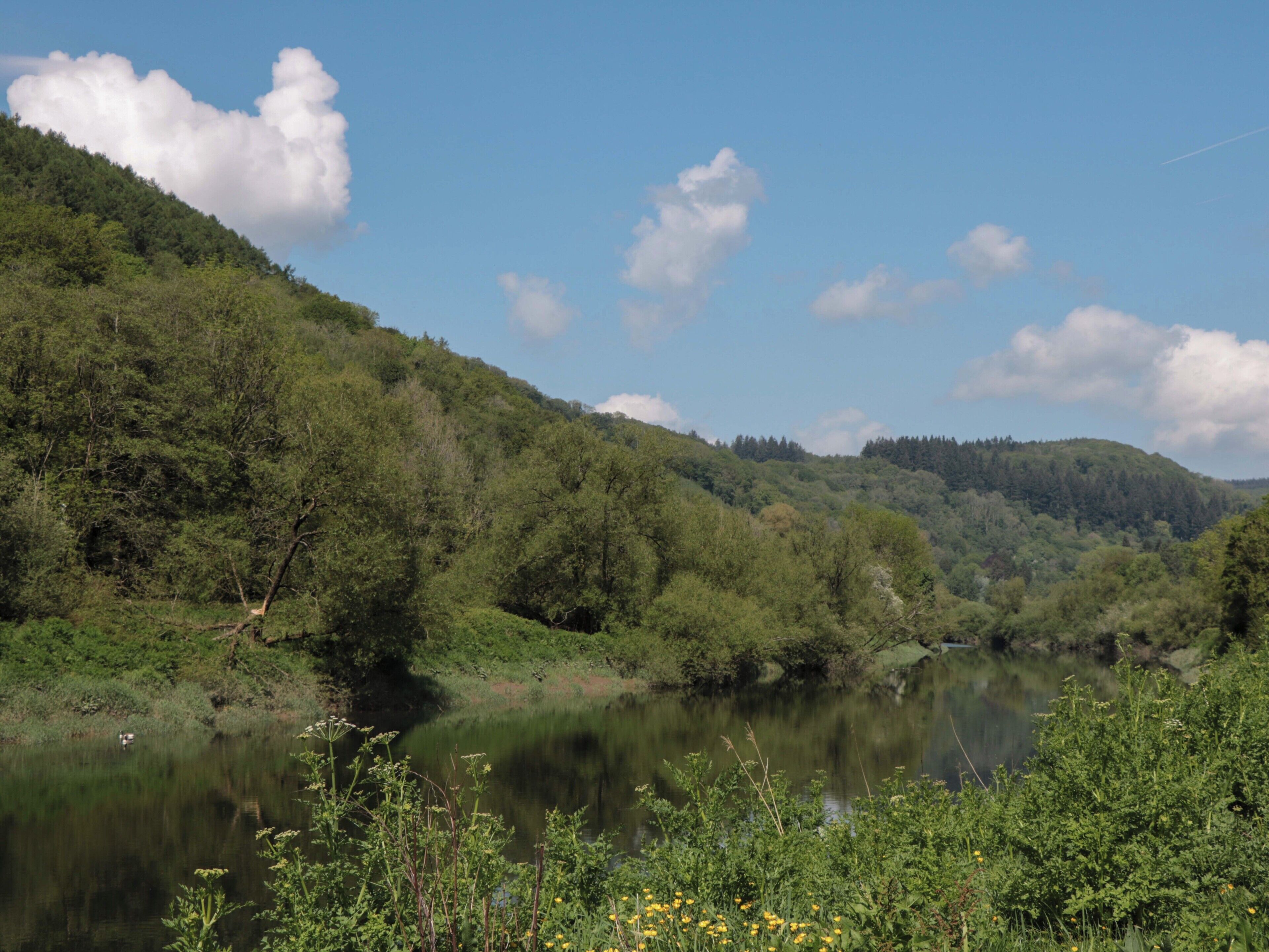 Een natuurlijk landschap met een rivier, heuvels en een heldere lucht.