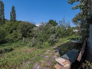 Ein Garten mit einer Holzbank, einem Tisch mit einer Flasche und einem Buch.