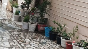 Un sendero adoquinado con plantas en macetas a lo largo de la fachada de un edificio.