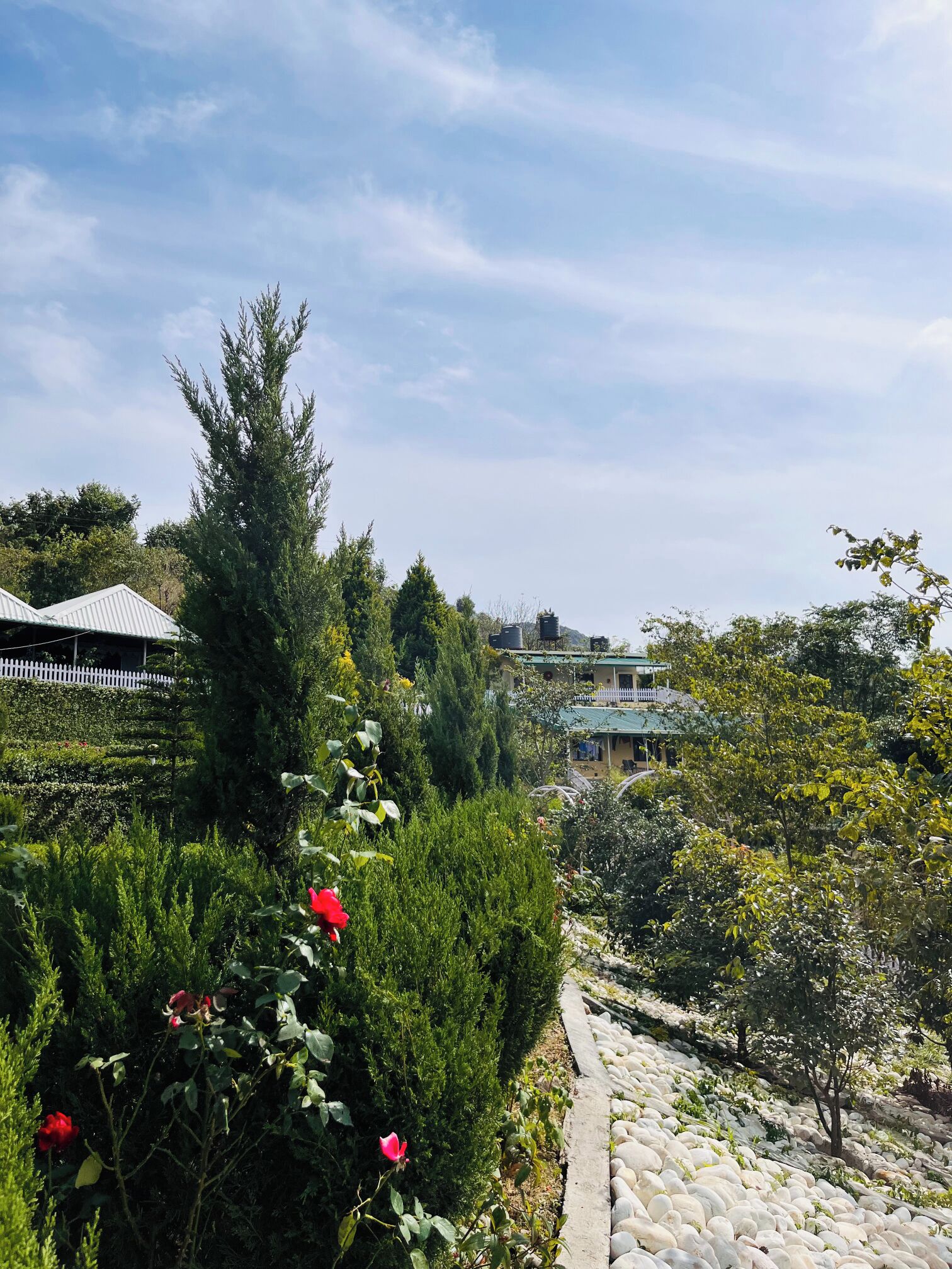View from property