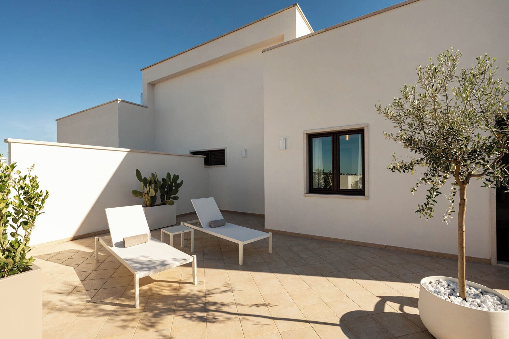 Un patio extérieur moderne avec deux chaises longues blanches, une plante en pot et un petit arbre.