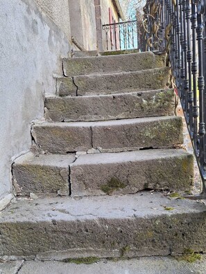 Property grounds - Gite des Montagnes In the middle of the Auvergne volcano park. Newly renovated cottage (Saint-Victor-la-Rivière)