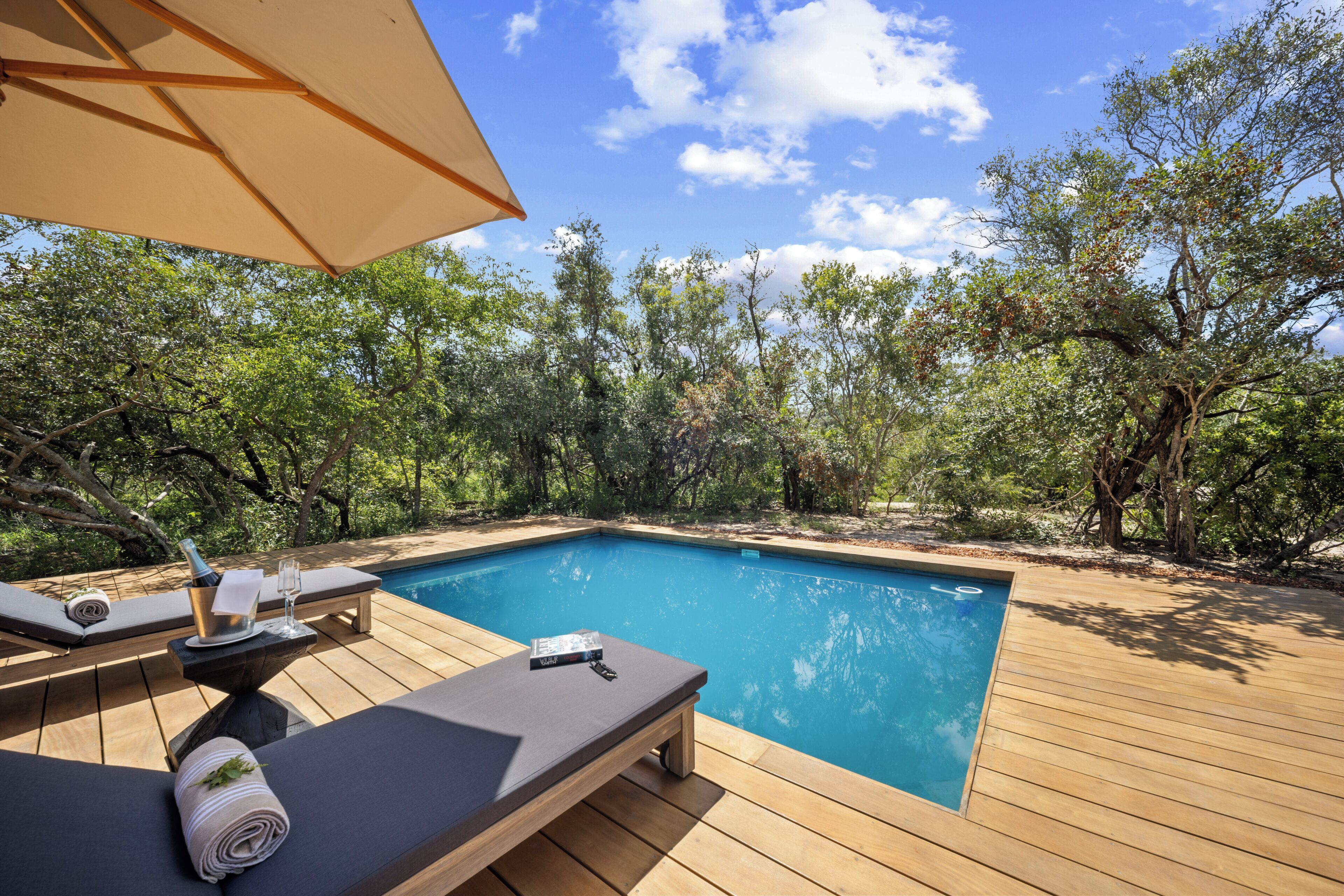 Outdoor pool, pool umbrellas, pool loungers