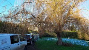 Ein Parkplatz mit mehreren Fahrzeugen, darunter ein weißer Lieferwagen und ein blauer Wagen, unter einem großen Baum.