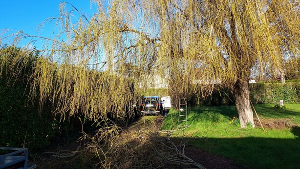 Ein von Bäumen gesäumter Weg, an dem ein Auto geparkt ist, mit einer Leiter und einer Blumenwiese.