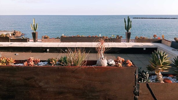 Une terrasse en bord de mer, agrémentée de jardinières, offrant une vue sur la mer et dotée d’une plateforme en bois.