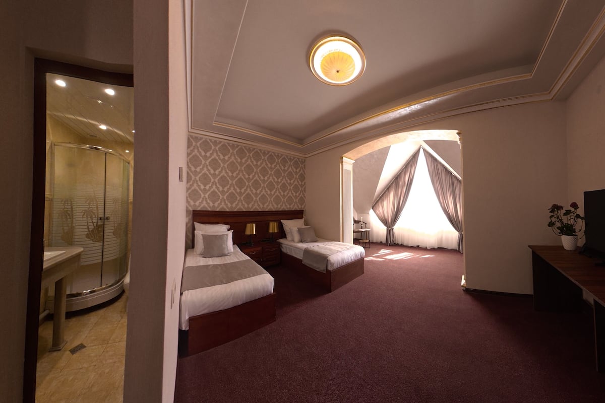 Habitación de hotel con cama, televisión, escritorio, ducha y vistas al exterior.