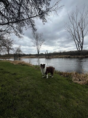 Property grounds - Cozy Tiny House "Spree-Maus" Family-friendly - only 50m to the Spree (Grünheide (Mark))