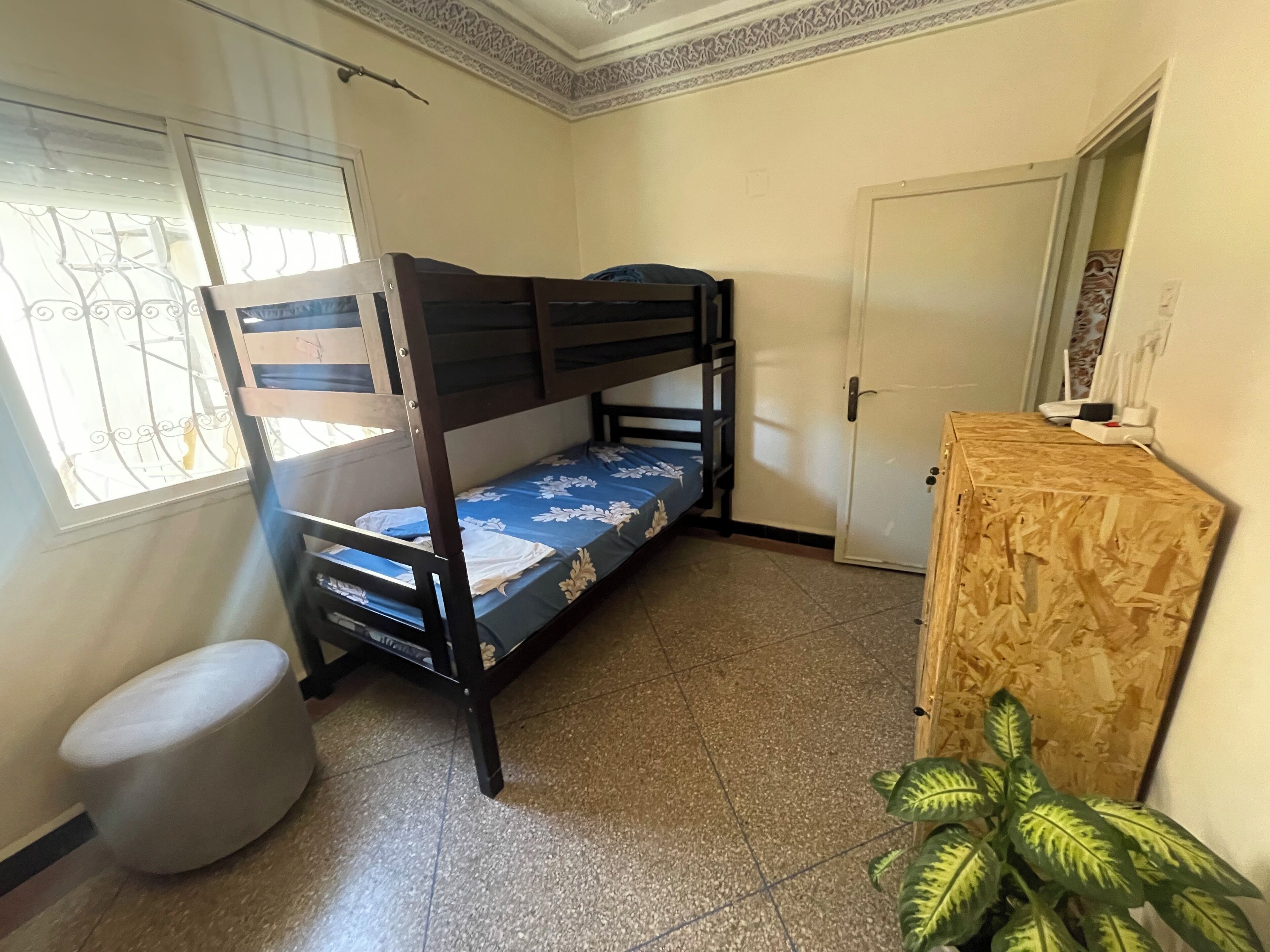 A room with a bunk bed, a toilet, a door, a small wooden cabinet, and a potted plant.