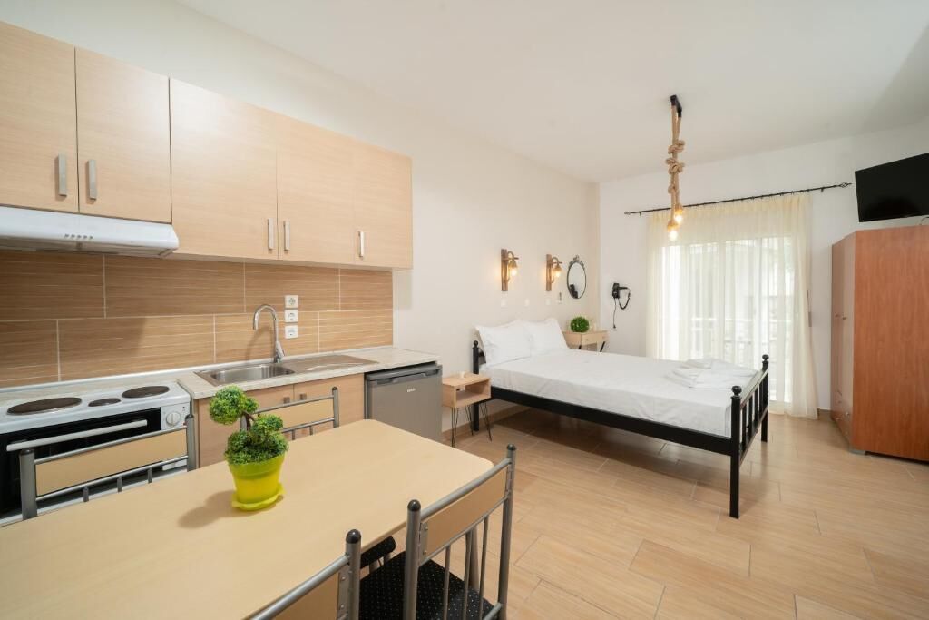 A compact hotel room with a kitchenette, a bed, a bedside table with a plant, and a TV.
