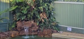 Terrein van de accommodatie