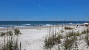 A beach with sand, sparse vegetation, and a clear blue sky. - 7 Rum Row - Private Pool, Golf Views & Walk to the Beach in Palmetto Dunes (Hilton Head Island)