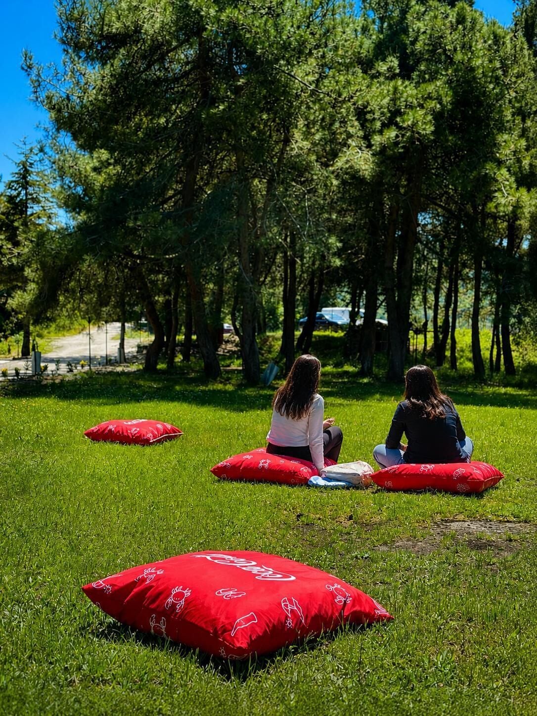 Duas pessoas sentadas em almofadas vermelhas numa área gramada, com árvores ao fundo.