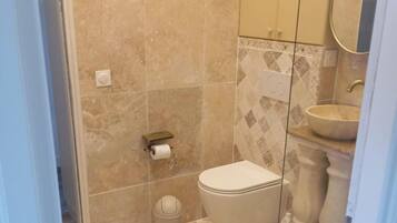 Shower, towels, toilet paper