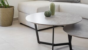Una sala de estar moderna con un sofá, dos almohadas, un cactus, una planta en maceta y una mesa redonda.