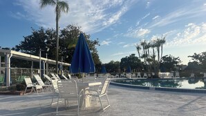 Ein Poolbereich mit Liegestühlen und Sonnenschirmen, einem klaren Himmel und Palmen.