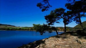 Ein ruhiger See mit BĂ€umen und blauem Himmel.