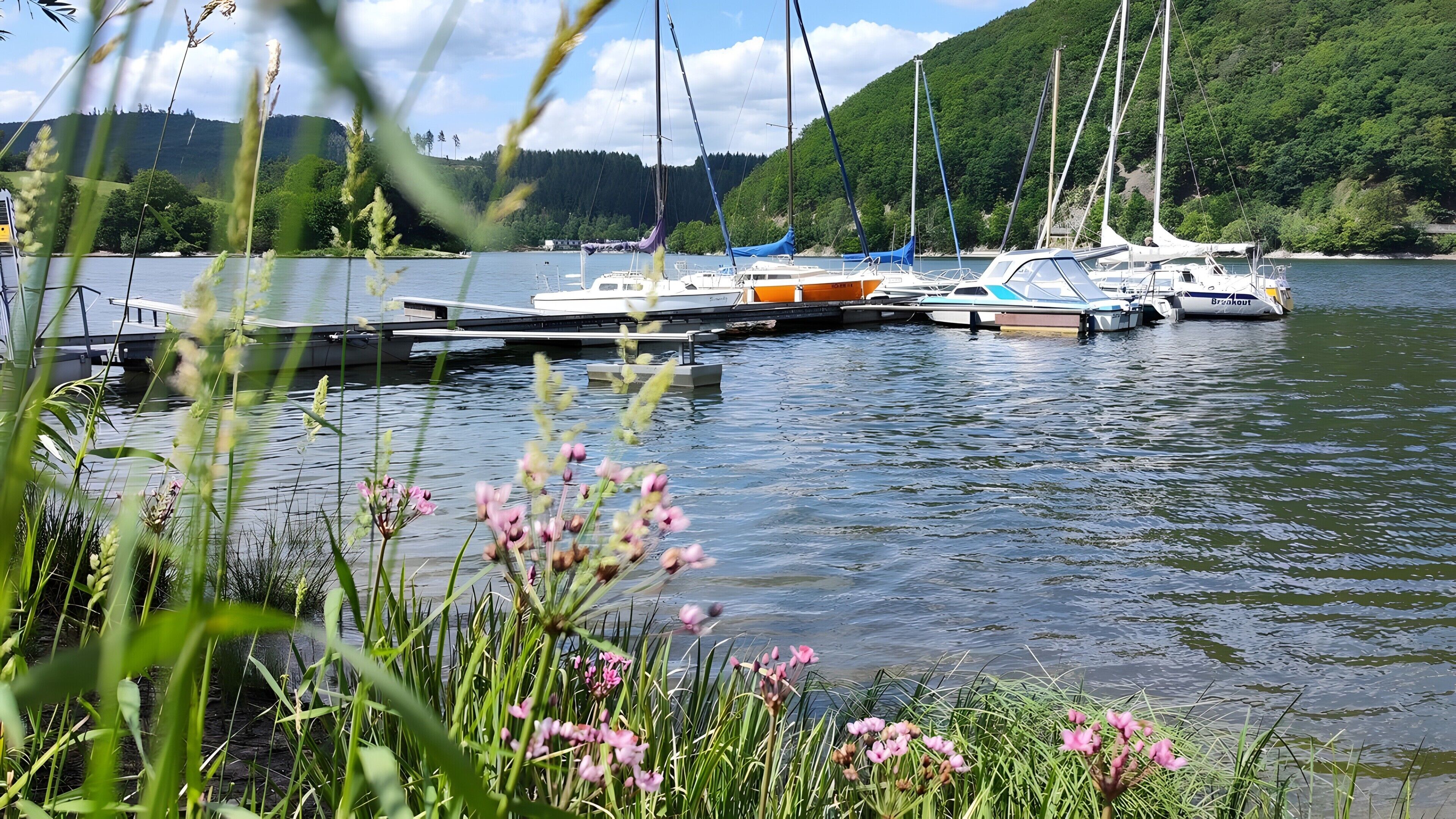 Port de plaisance